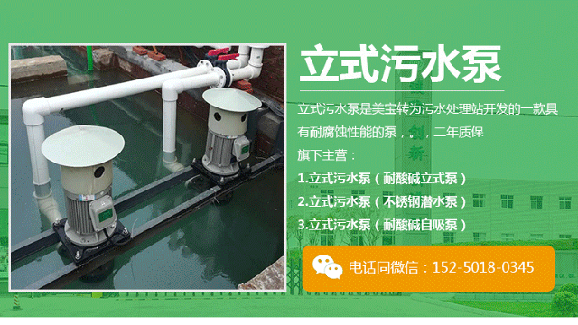 立式污水泵